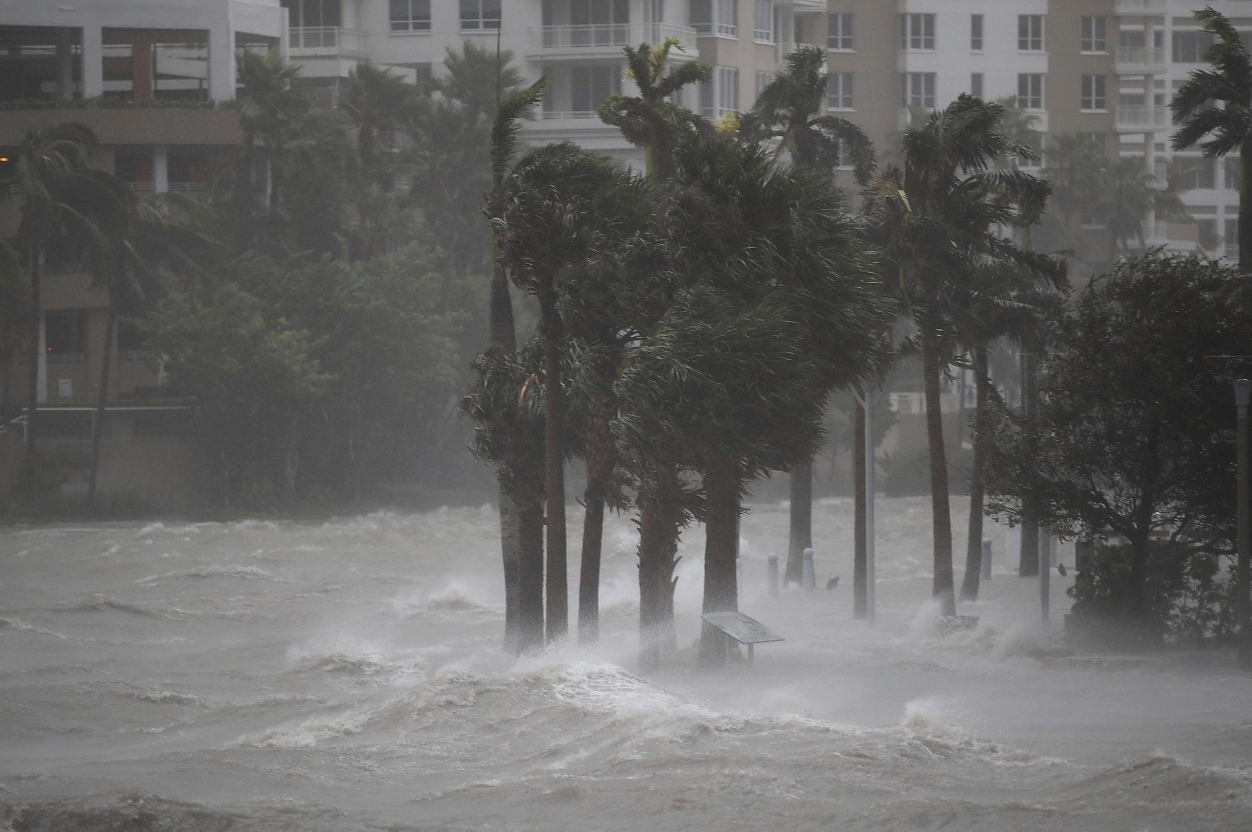 How Miami Can Survive Climate Change